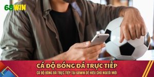 Cá Độ Bóng Đá Trực Tiếp Tại 68WIN Dễ Hiểu Cho Người Mới