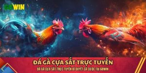 Đá Gà Cựa Sắt Trực Tuyến Bí Quyết Cá Cược Tại 68WIN