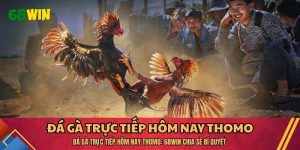 Đá Gà Trực Tiếp Hôm Nay Thomo: 68WIN Chia Sẻ Bí Quyết 